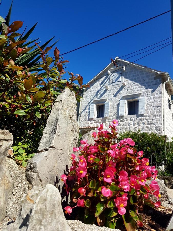 Old Stone Villa Lalosevic Kotor Eksteriør bilde